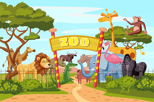 zoo